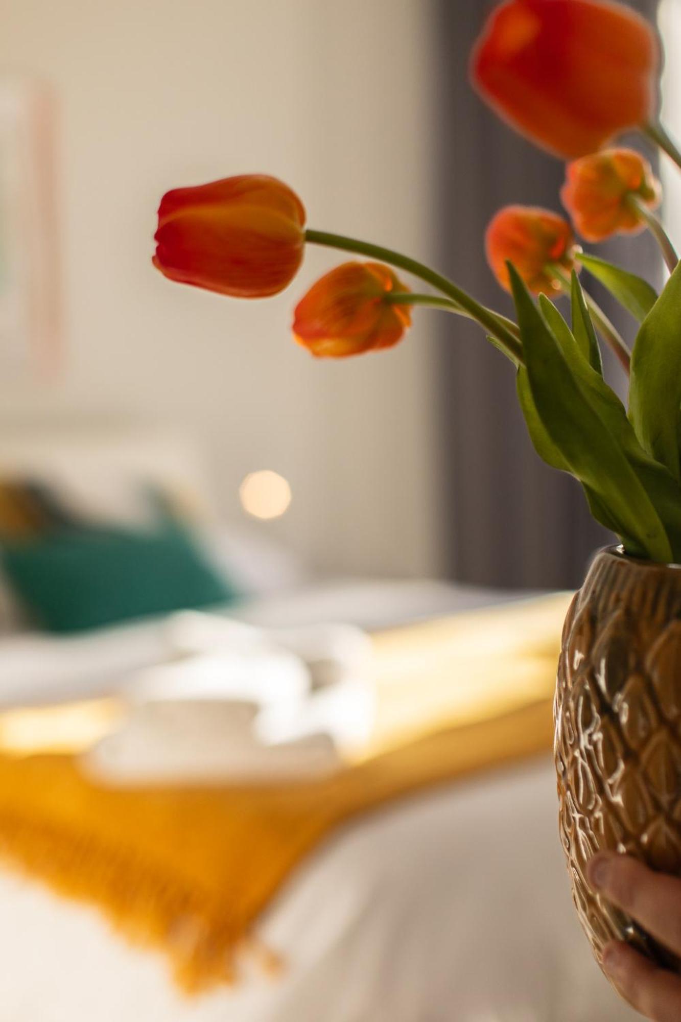 Veigas De Iria - Apartamento Turistico Vut 帕德隆 外观 照片